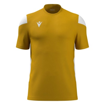 University Gold/Varsity Maise/(White)_Jaune_Jaune