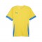 TEAMGOAL MATCHDAY JERSEY