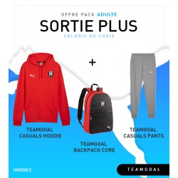 PACK SORTIE PLUS ADULTE PUMA HOODIES